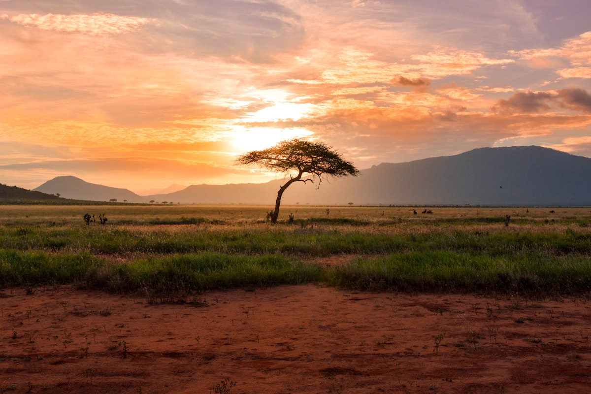 Ancient Middle Eastern landscape — the region Isaiah described 2,700 years ago